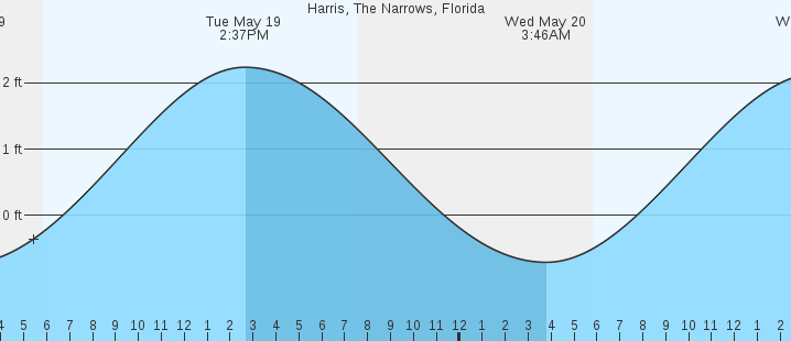 tide graph