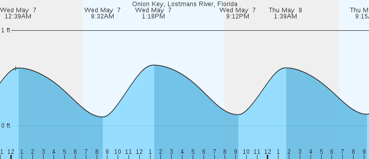 tide graph