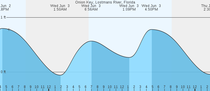 tide graph