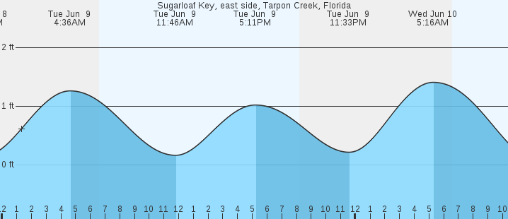 tide graph