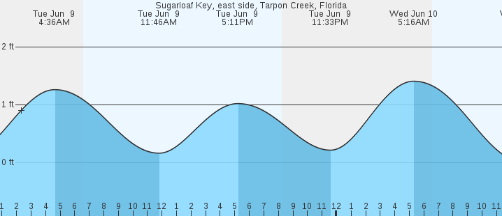 tide graph
