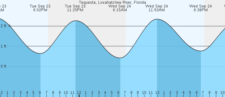 tide graph