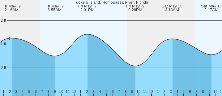tide graph