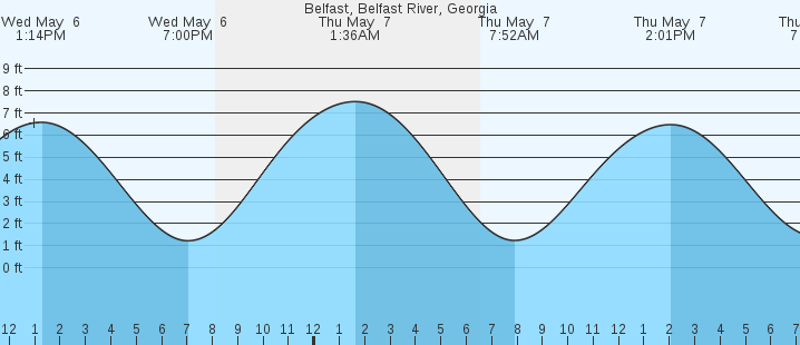 tide graph