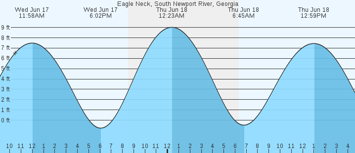 tide graph