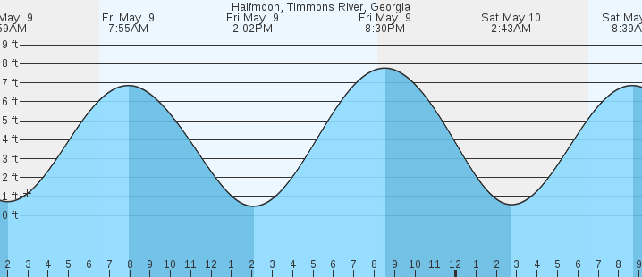 tide graph