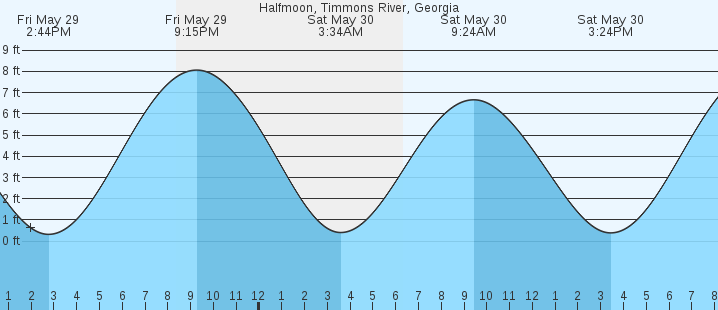 tide graph