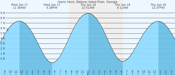 tide graph