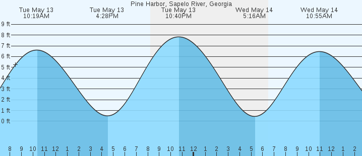 tide graph