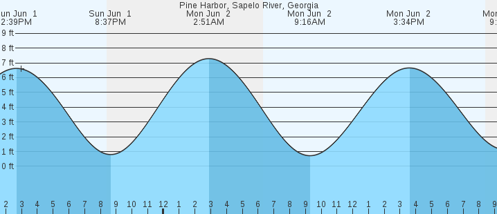 tide graph