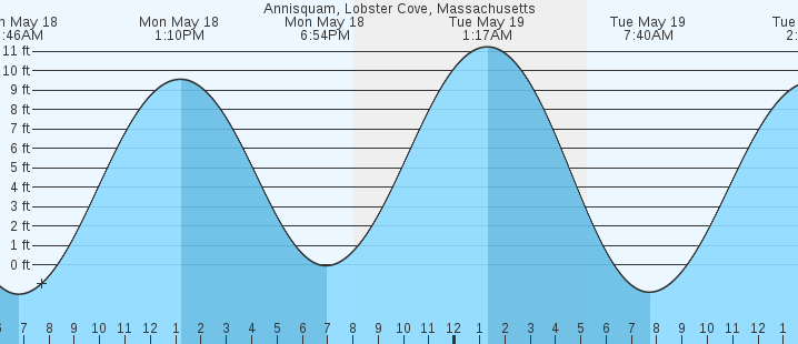 tide graph