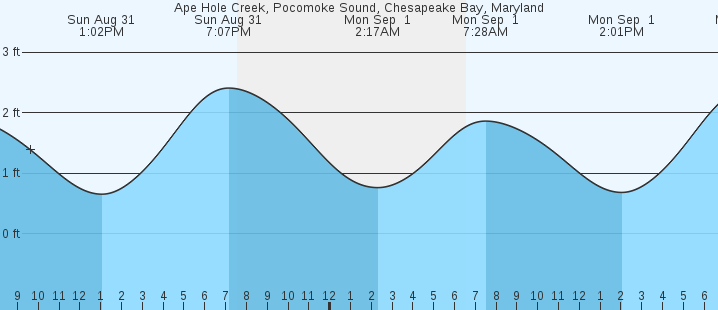 tide graph