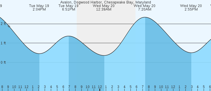 tide graph