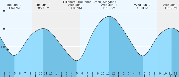 tide graph