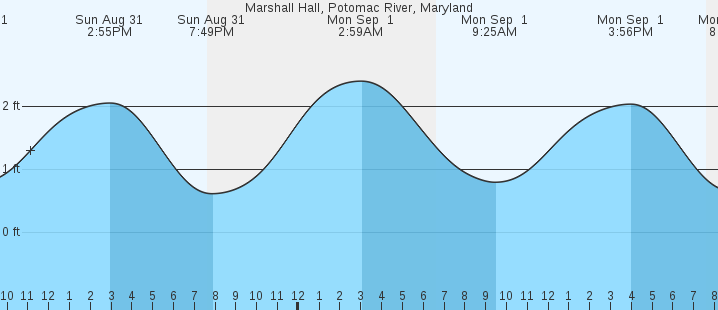 tide graph