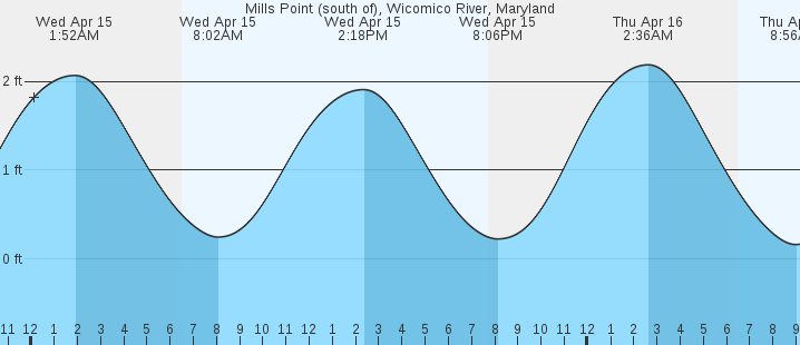 tide graph