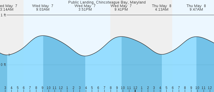 tide graph