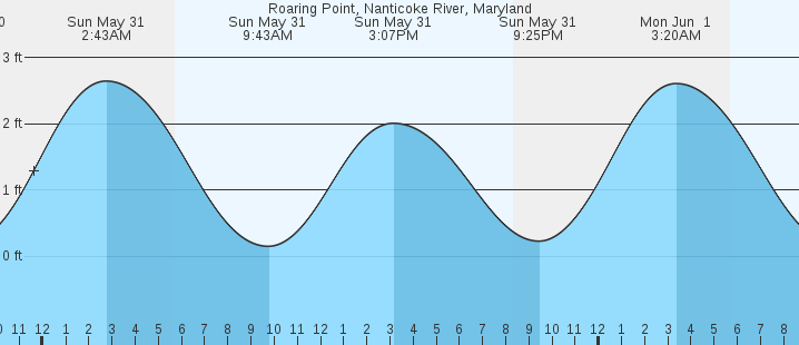 tide graph
