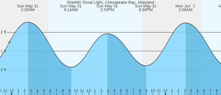 tide graph
