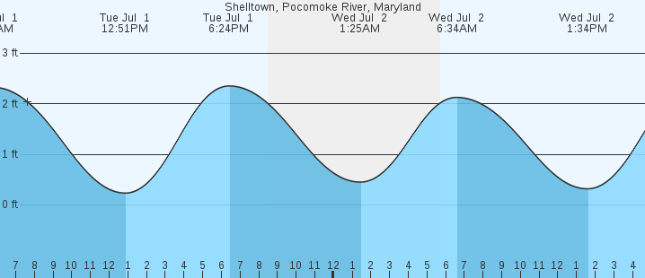tide graph