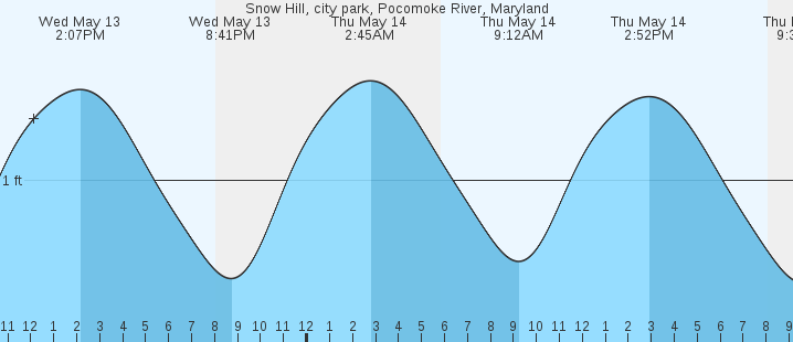 tide graph