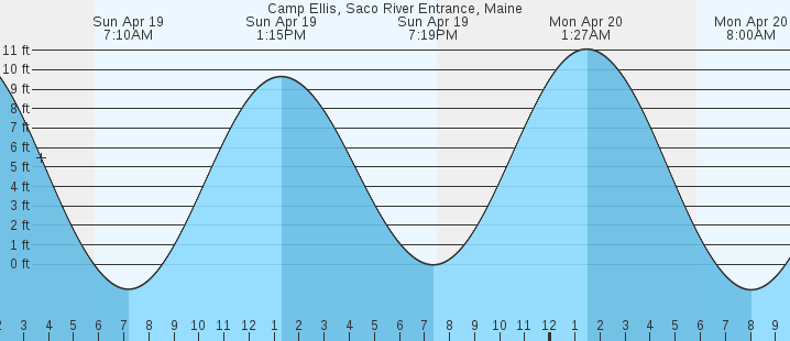 tide graph