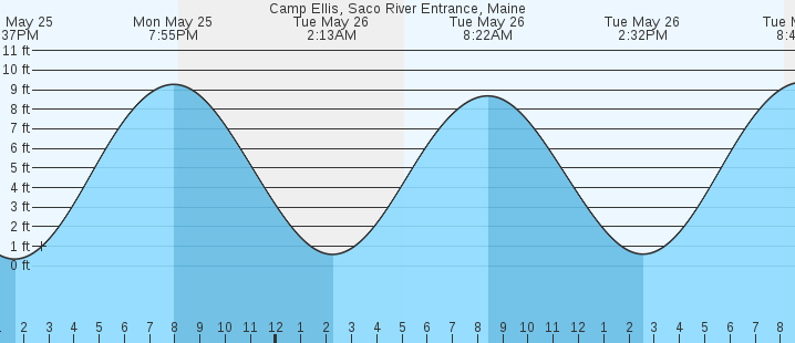 tide graph