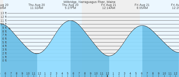 tide graph