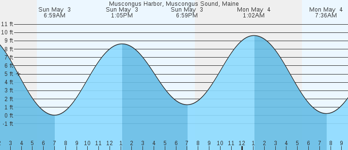 tide graph