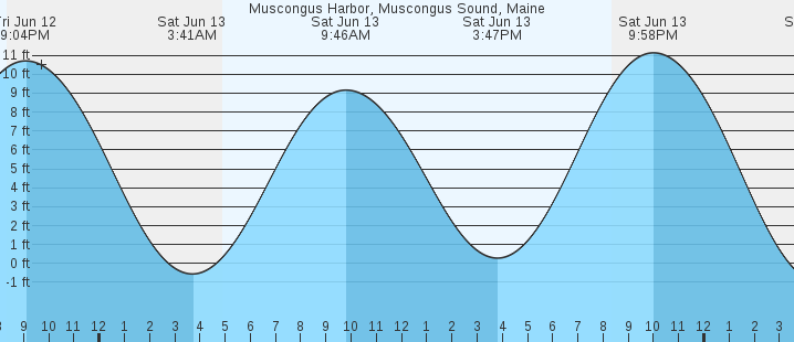 tide graph
