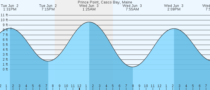 tide graph