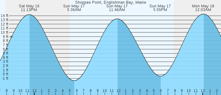 tide graph