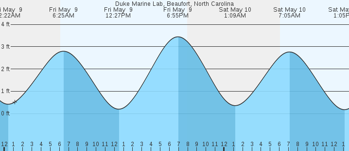 tide graph
