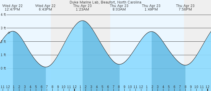 tide graph
