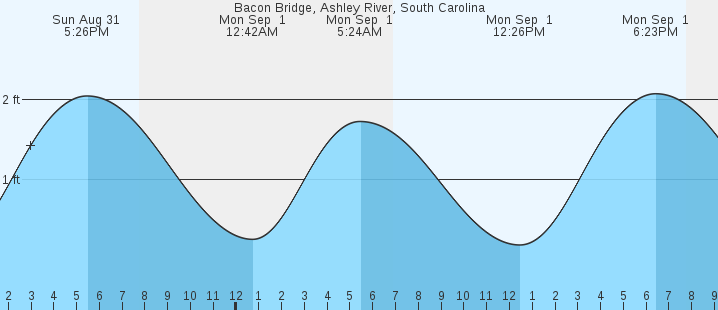 tide graph