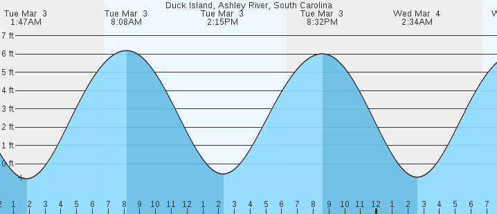 tide graph
