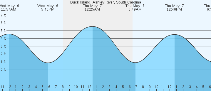 tide graph