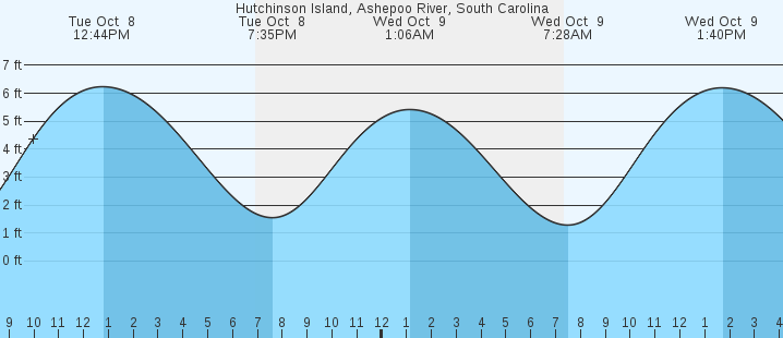 Ultimate Guide to Edisto Beach South Carolina Tide Chart