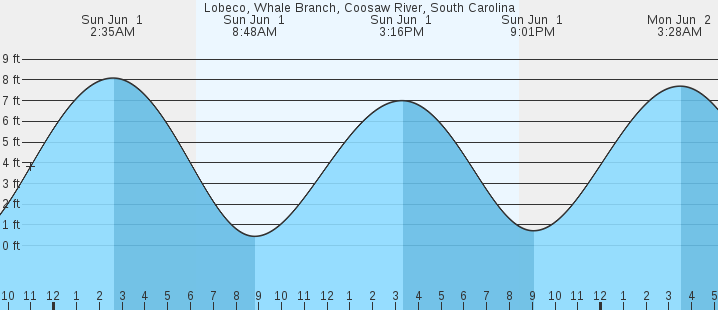 tide graph
