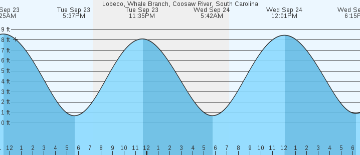 tide graph