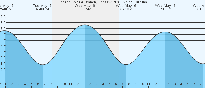 tide graph