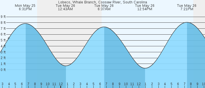 tide graph