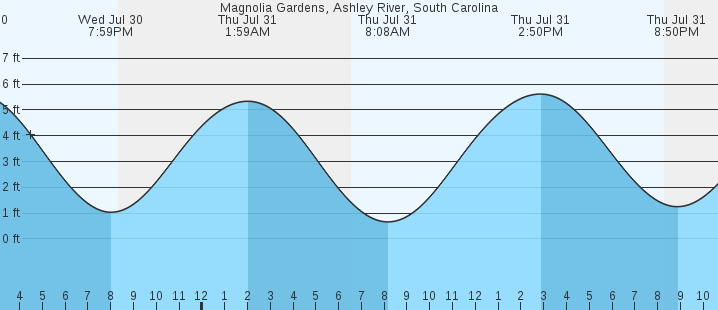 tide graph