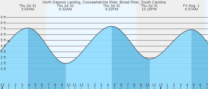 tide graph