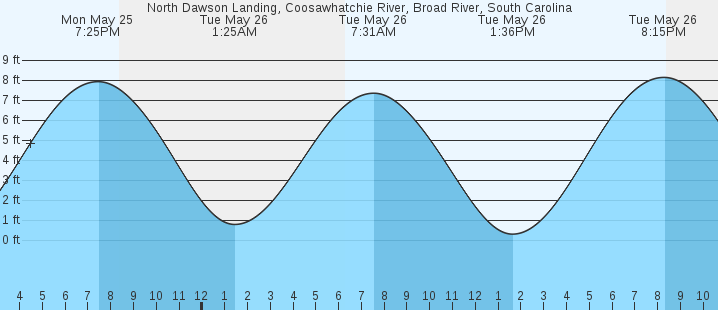 tide graph