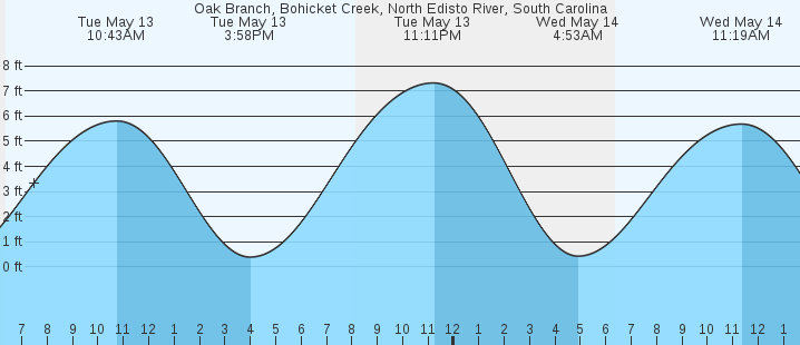 tide graph