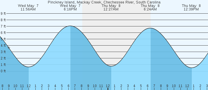 tide graph
