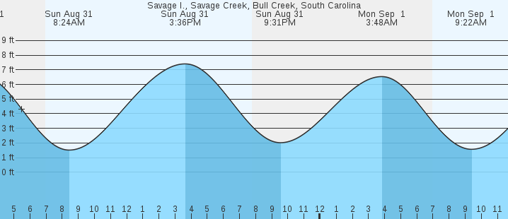 tide graph