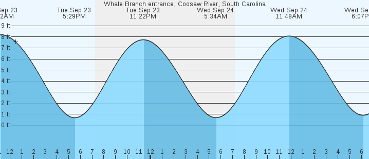 tide graph
