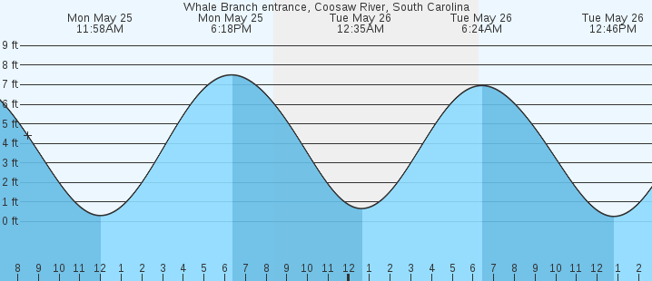 tide graph